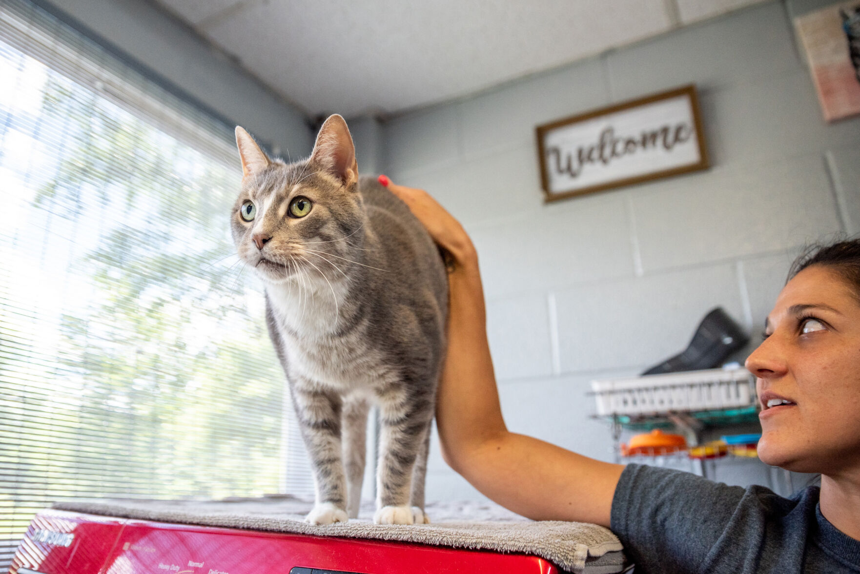 SVanimalshelter-TM-4 manager.jpg